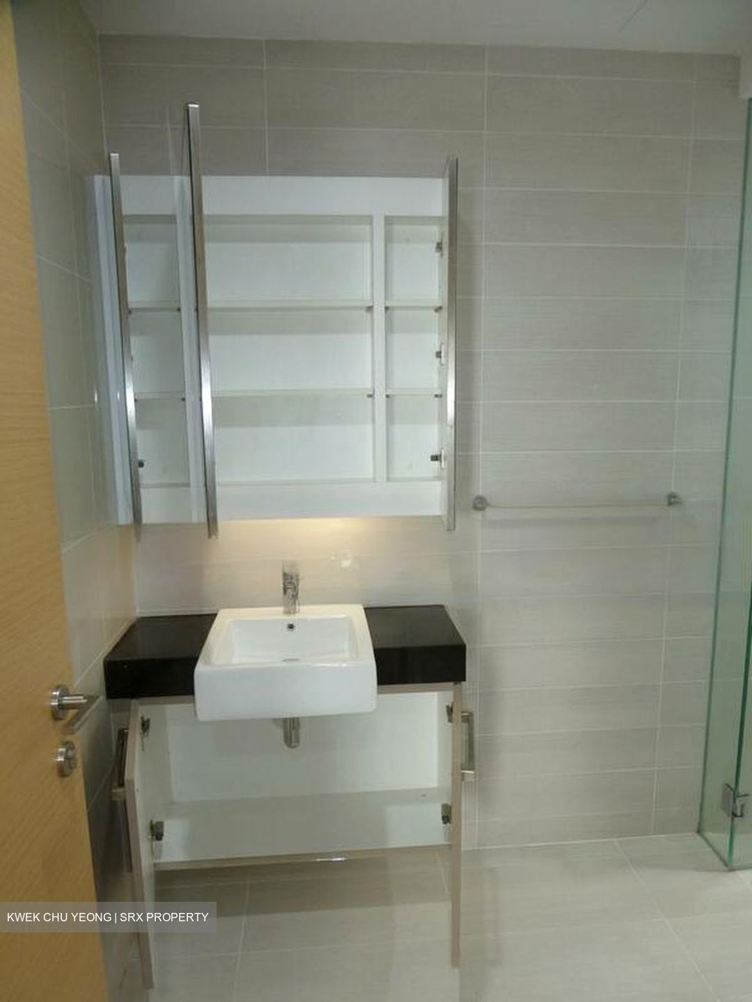 Cityscape @ Farrer Park (D8), Condominium #460923231